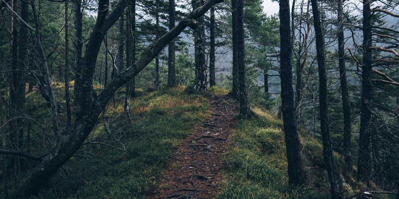 从里约热内卢到巴西利亚：现代主义乌托邦如何重塑巴西文化版图