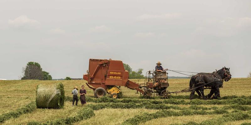 巴西卡波弗里奥终极指南:揭秘里约隐秘海滩、悬崖徒步与三大国粹(美食/雨林/桑巴)深度体验