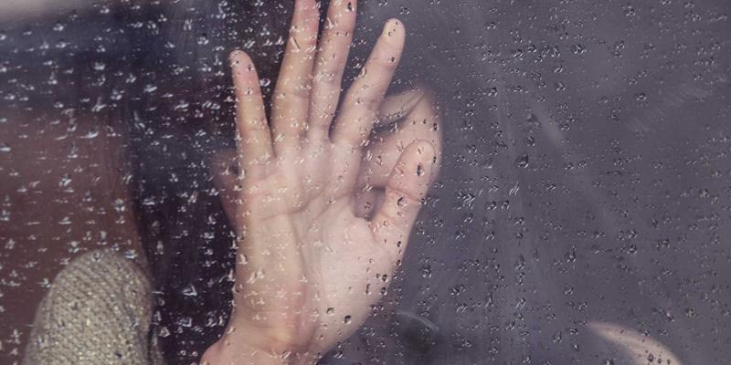 探秘地球之肾：巴西潘塔纳尔湿地最佳观赏季与深度行程指南，邂逅美食与野性